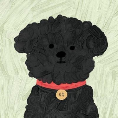 用户头像